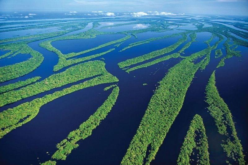 Amazonia Parksuites Novo Airao Ngoại thất bức ảnh
